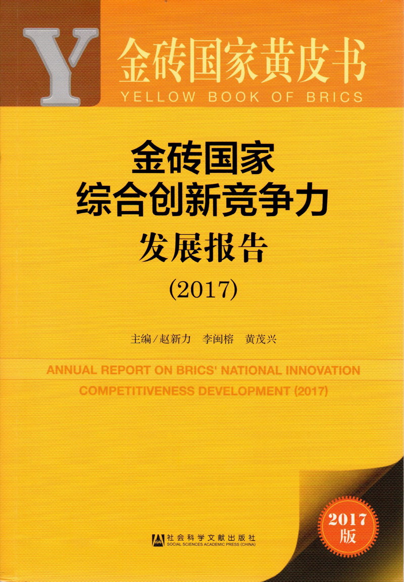 操鸡鸡的视频网站金砖国家综合创新竞争力发展报告（2017）